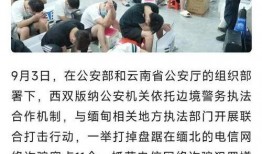 缅北最新爆料新闻报道,揭秘缅北战事新动态