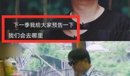 好友爆料黄磊视频,好友爆料背后的真实故事